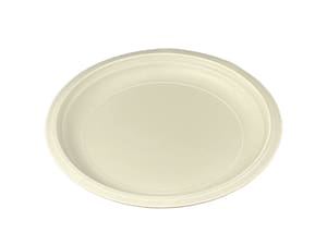 Small Plate 8 1/4″