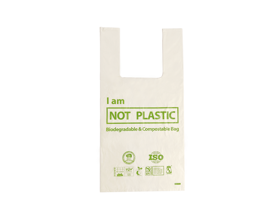 Greendish S4 Biodegradable Shopping Bag